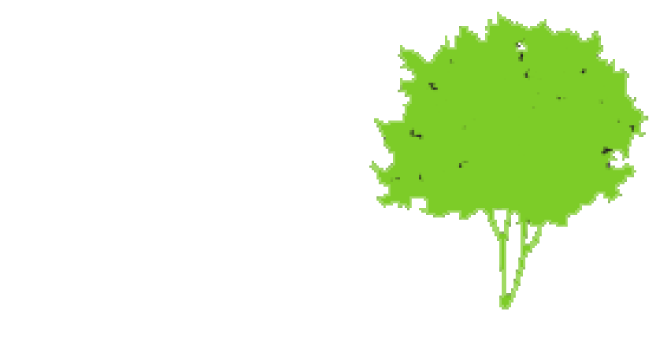 sta-elagage.png sta-elagage.png